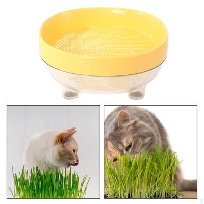 Kočičí tráva Box na osivo Zásobník na osivo Snadno se sázející Pěstovací květináč Pěstování Catnip pro
