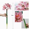 2Pcs Artificial Amaryllis Flowers Stem Real Touch Large Tropical Flowers Clivia Flowers for Vase Arrangements Home Office Decor