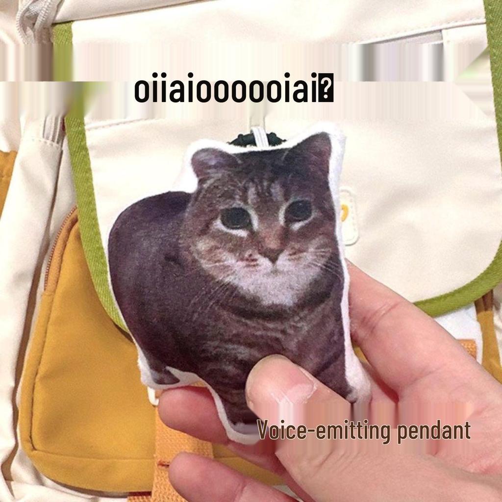 Oiiai Zábavný nepravidelný plyšový polštářek koťátko Hračka