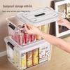 Jiaduo Transparent Multi-Purpose Storage Box