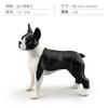 Simulated Pet Dog Dog Model Labrador Shiba Inu Tibetan Mastiff Samoyed Children'S Cognitive Static Ornament