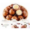 Kitchen Nut Sheller Tool Cracker Nutcracker Crack Sheller Almond Walnut Pecan Hazelnut Filbert Nut Sheller Macadamia Nut Opener