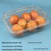 Transparent Disposable Fruit Box with Lid – Food-Grade Plastic, Rectangular, Sturdy for Takeaway, Ideal for Strawberries or Cut Fruit