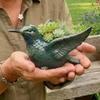 With Drainage Hole Lively Bird Plant Pot Resin Succulent Pot Flower Pot Indoor Outdoor Plants