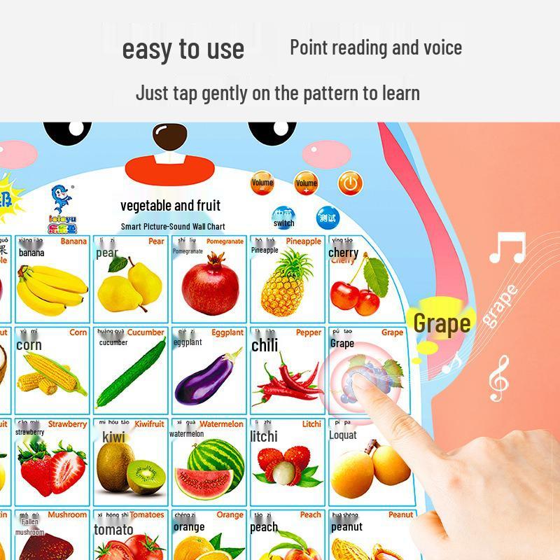 Children's Sound Book: Word Recognition & Pronunciation Educational Toy with Word Cards
