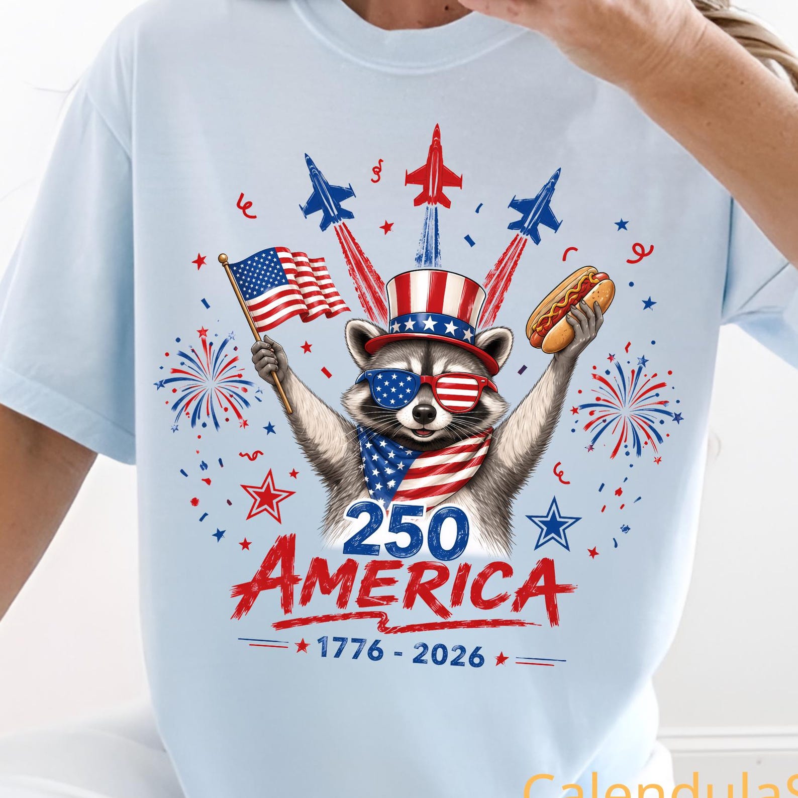 Raccoon 250 America 1776 - 2026 Shirt, Feral And Free 250th Independence, Raccoon 4th Of July Shirt, Patriotic Raccoon Shirt, Feral USA Tee S