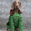 Pet Dog Dog Large Dog Winter Padded Jacket Thickened Warm Green Padded Coat Samo Labrador Golden Feather Padded Coat