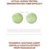 SKIN 1004 - Madagascar Centella Poremizing Quick Clay Stick Mask