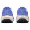 Nike Air Zoom Pegasus 41 Royal Pulse Women's FD2723-402