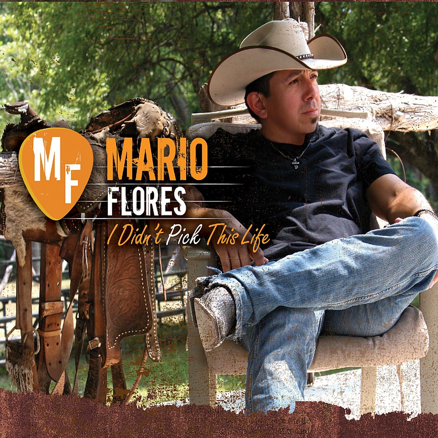 

CD FLORES, MARIO - I Didn t Pick This Life Japan Music Others Used