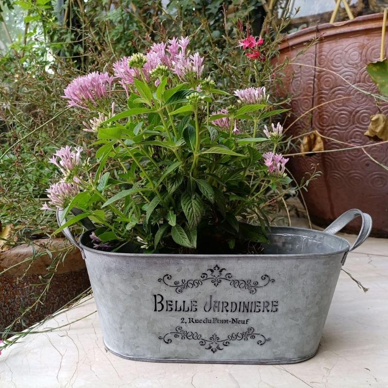 Y5JC Metal Bucket Planter With Double Handles Iron Flower Pot Metal Tray For Storage