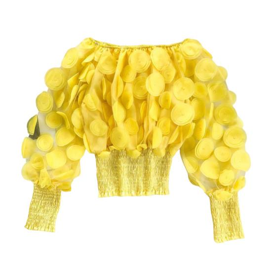 

Женские Топы С Открытыми Плечами С Пышными Длинными Рукавами С Эластичной Талией Короткие Топы Прозрачная Сетчатая Пряжа Повседневные Топы Для Вечеринки Ежедневной Носки жёлтый