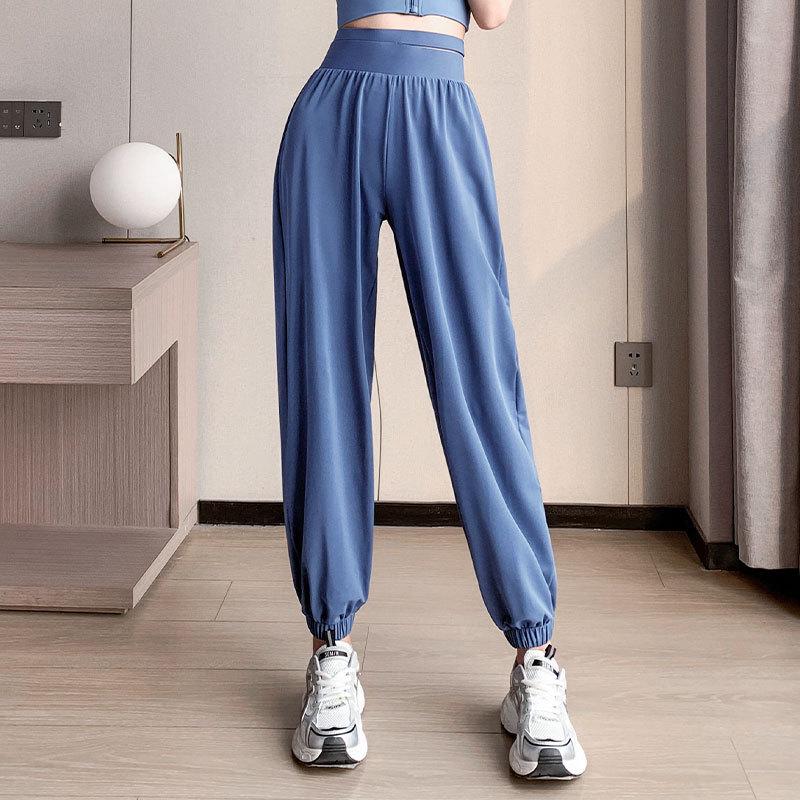 Women's Summer 2024 Sports Set: Shockproof Bra & Quick-Dry Pants for Running & Yoga