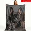 2D Flat Printing 1pc Cute Black French Bulldog Pattern Single-Sided Printed Fleece Blanket Suitable for Sofa Travel Camping Living
