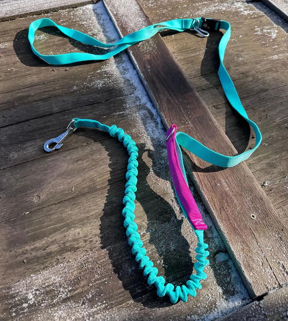 Dog Leash with Shock Absorber, Adjustable, Shortened, with Handle, 280cm, MINT, AMOhand, Fasten