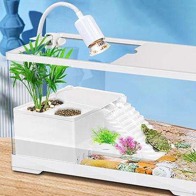 Ramp for Reptile And Turtle Tank