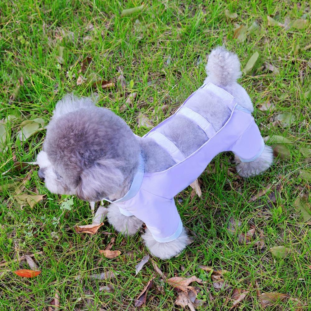 Breathable Dog Four Legged Pants Cool Pet Clothes Pet Supplies Dog Dust Pants  Autumn