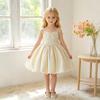 New Girls' European & American Style Princess Dress - Puffy Formal Birthday Party/Performance Costume