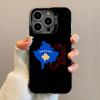 Kosovo Flagge Karte Handyhülle Für iPhone 16,15,14,13,12,11,Pro,Max,Plus,Mini,SE Anti-Fall Schwarzer Mattes Hartes Bumper