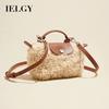 Ielgy Autumn Winter Lamb Bag Wool Bag All-Match One-Shoulder Messenger Dumpling Bag