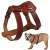 Echtes Leder Hundegeschirr Braun Echtes Leder Hunde Lauf-Trainingsweste Verstellbare Riemen Mittel Groß Pitbull Boxer Mastiff