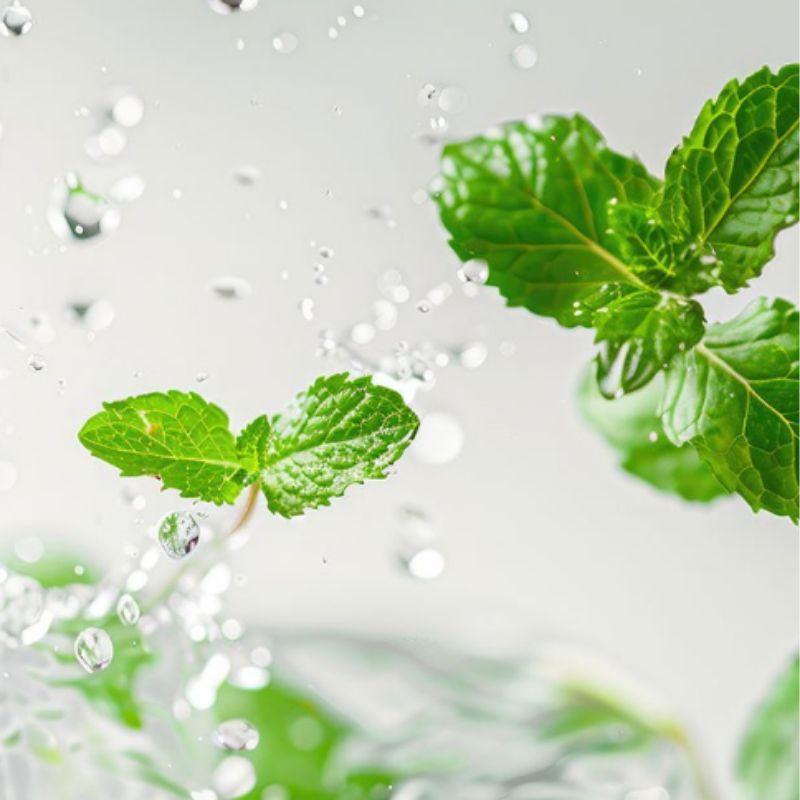 moremo Fresh and Cool Dandruff Care Functional Shampoo Scalp Refresh Anti Dandruff Shampoo 500ml