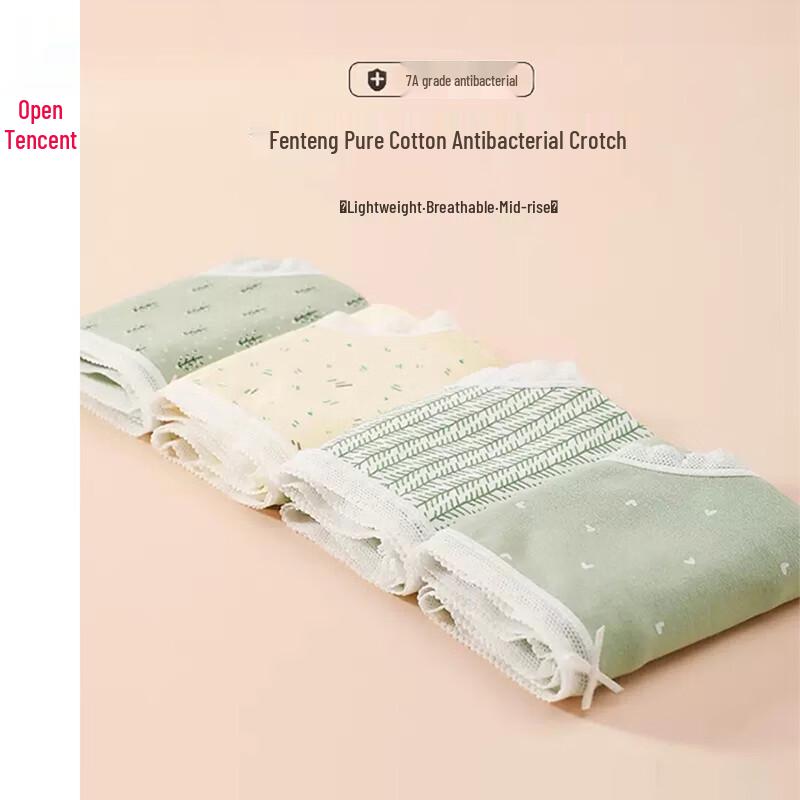 

Fenteng Women s Cotton Antibacterial Briefs (4-Pack) XL