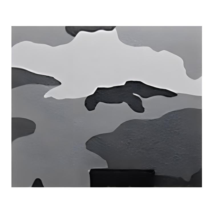 Coach Pouch 30 Camouflage Print Coated Canvas And Calfskin Clutch Large Men clutch Gray White 73137-QBM2