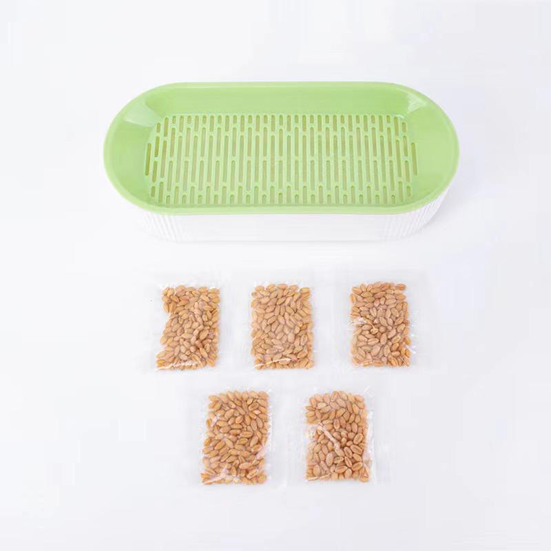 

Treats Catnip Planting Soilless Hydroponic Colorful Set Grass Box One Size