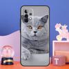 Custodia per Gatto British Shorthair per Samsung Galaxy A55 A16 A26 A36 A56 A54 A34 A14 A15 A35 A52 A12 A32 A13 A33 A53 A17