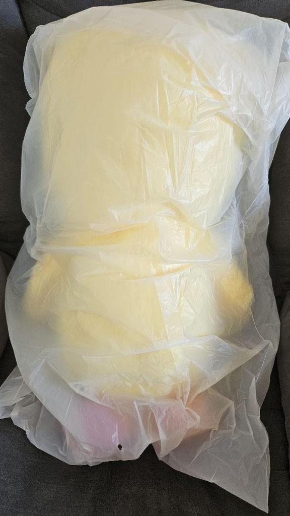 [USED] Teddy Bear Stuffed Toy Teddybear SKZOO Pogari