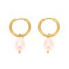 18K Gold-Plated Stainless Steel Earrings with Freshwater Pearl: European & American Style, Fashionably Luxe, Colorfast.