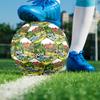 Pettson and Findus Theme Size 5 Soccer Ball, Suitable for Both Indoor and Outdoor Matches, a Gift Suitable for Everyone.