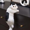 Simulation Hanging Cat Plush Doll, Cute Animal Pendant Ornament for TV Cabinet Air‑Conditioner Home Decor Kids Toy