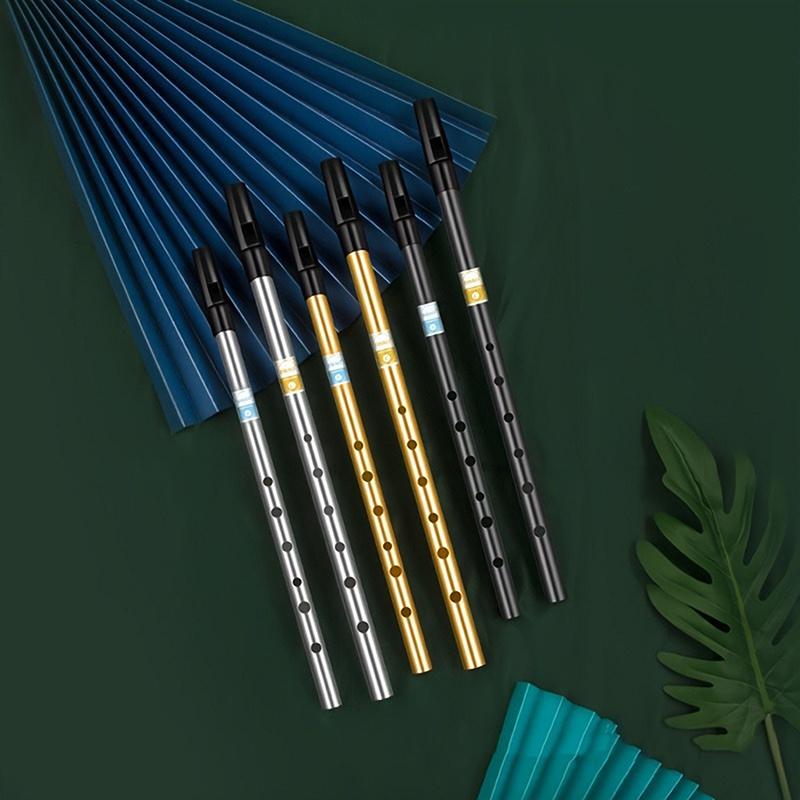 1 Stück authentische irische Pfeifenflöte, C/D-Tonart, Tin Penny Whistle mit 6 Löchern, perfektes traditionelles irisches Musikinstrument