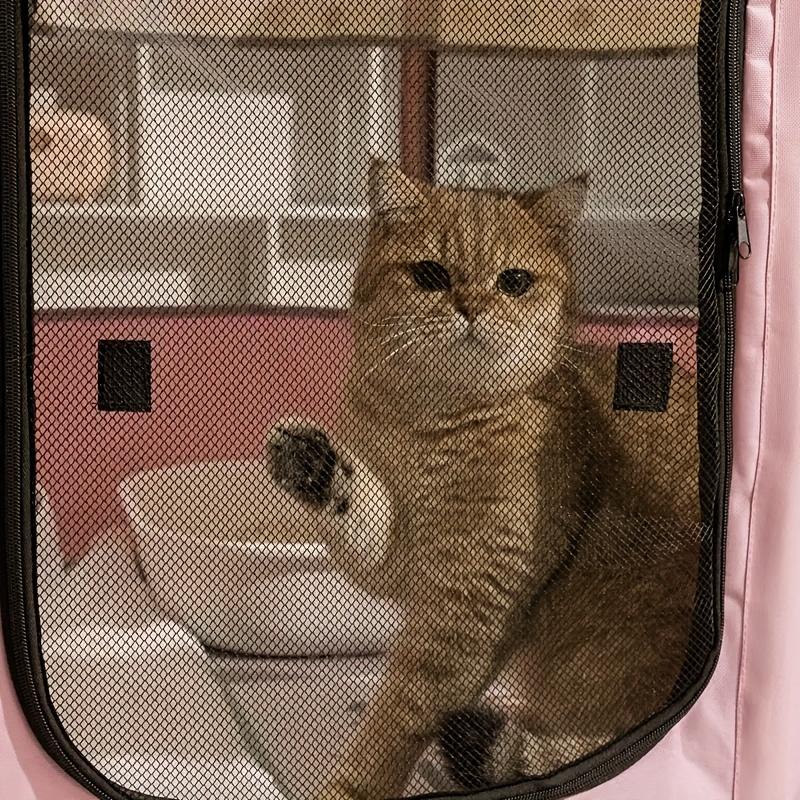 Zusammenklappbare Haustierbox für Katzen Hunde Tragbares Haustierzeltbett Sicherer Raum für Katze Geburt Geburtsbereich für Welpen und Kätzchen