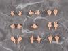 Nendoroid Doll Wrist Parts Set 02 G12655 [peach]