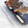 Animale de fermă
 – Cuşti şi accesorii pentru animale