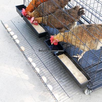 Animais de criação – Acessórios e jaulas para animais