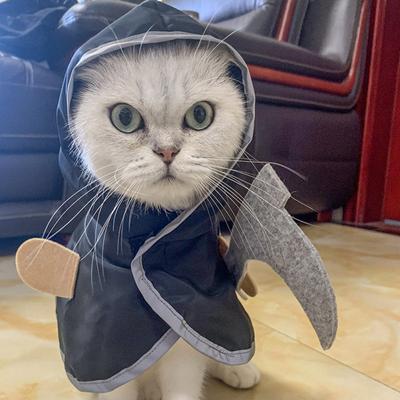 Helovino Katės Cosplay Kostiumas Plaunamas Mirties Apsiaustas Apsiaustas Persirengimo Drabužiai vakarėlio Rekvizitas Aksesuarai