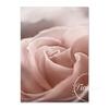 Modern Ballet Dancer Girl Pose Wall Art Canvas Nordic Posters And Prints Black White Painting Picture For Living Room Home Decor No Frame