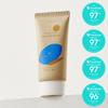 Wild Ginseng Tree Sunscreen 50ml SPF50+ PA++++