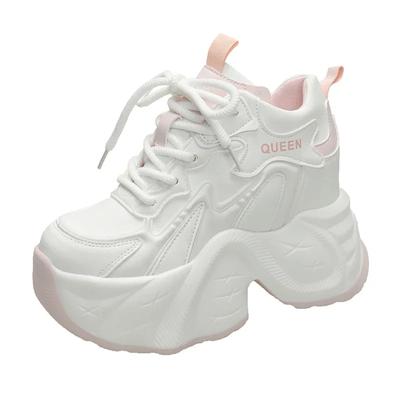 Mode 11CM Talons Cachés Baskets Chunky Femmes Respirantes Lacets Chaussures à Plateforme Haute Femme Automne 2024 Baskets à Semelle Épaisse Antidérapante