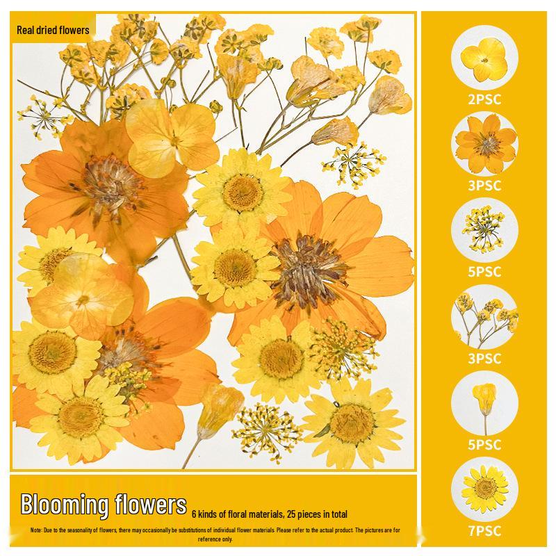 Handmade Resin Pressed Flower Bookmark DIY Kit: Transparent Specimen Stickers & Dried Flowers for Students