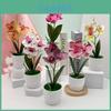 Planta Artificial Orquídea Borboleta Com Impressão 3D Para Decoração de Casa e Adereços de Fotografia