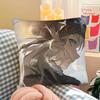 pc RReverse  Game Pillow Case Fashion Square Pillowcase Bedroom Sofa Room Ins Decoration Leisure