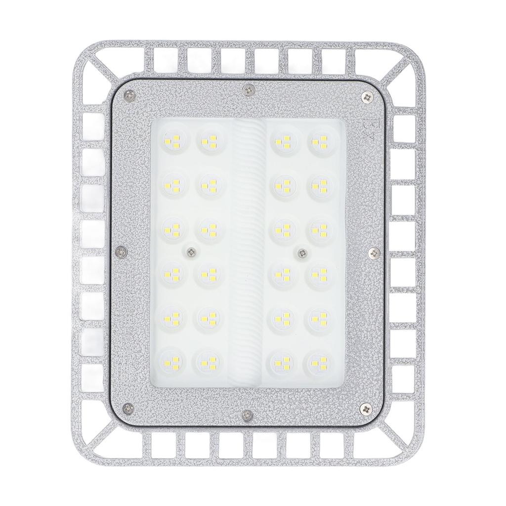 Światło LED przeciwwybuchowe 50W IP66 Wodoodporne Kolor marmurkowy Szkło hartowane Wzmacniane Fabryka Magazyn