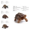 Figurine Statique Modèle Tortue Terrestre en PVC pour Enfants avec Design Réaliste pour Collectionneurs et Enfants