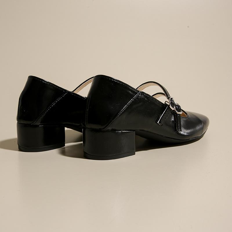 Coarse heel silver single shoes women's 2025 new spring and autumn with skirt evening shoes Mary Jane high heels low heel small leather shoes