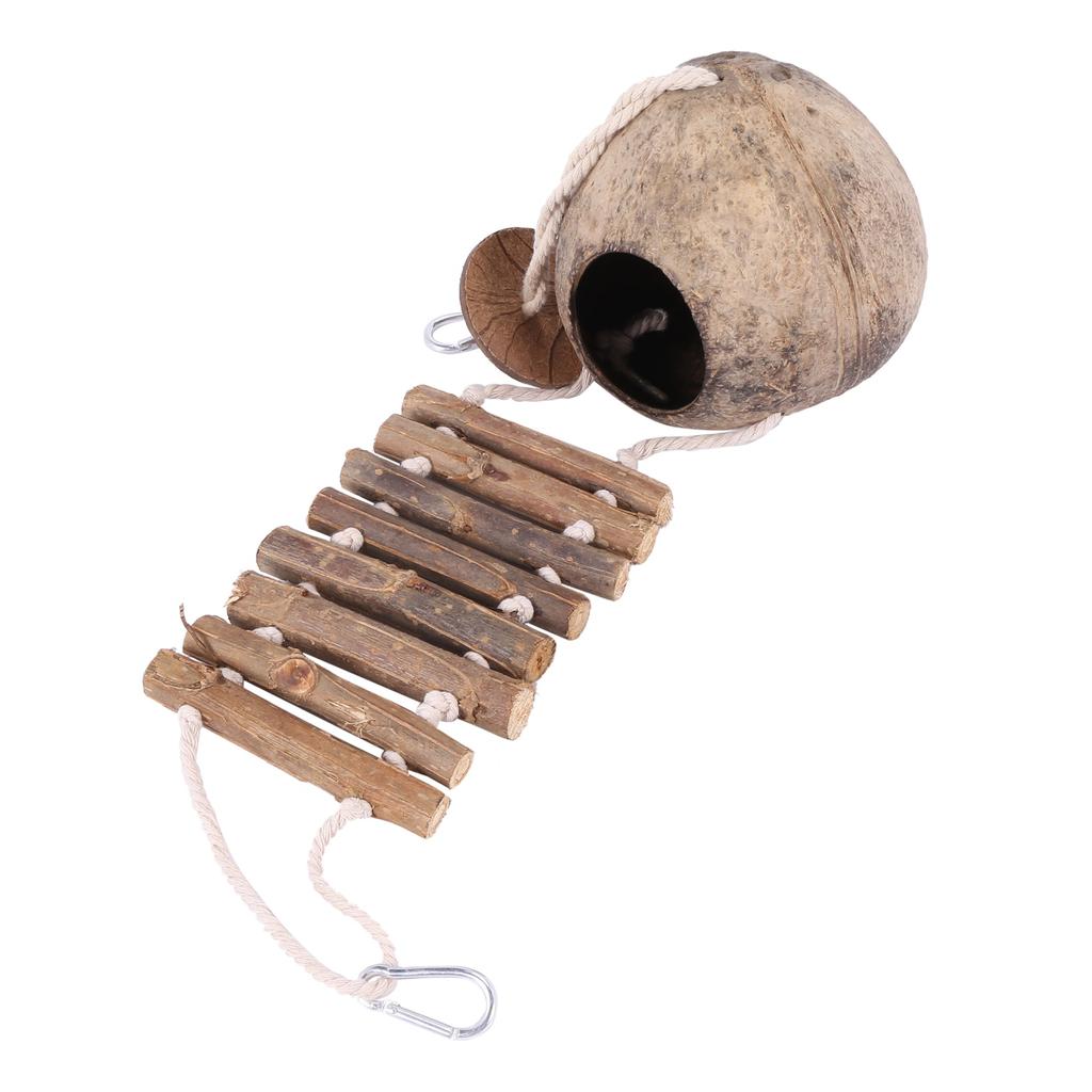 M-Modern-100% Natural Coconut Husk Coconut Hide With Ladder For Bird Shell Hideaway Durable Habitat
